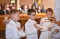 K_2012_0242